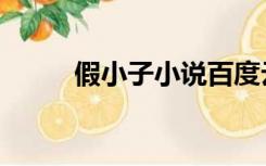 假小子小说百度云（假小子小说）