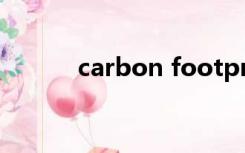carbon footprints是什么意思