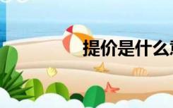提价是什么意思（提价）