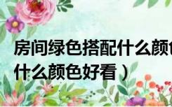 房间绿色搭配什么颜色好看呢（房间绿色搭配什么颜色好看）