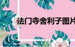 法门寺舍利子图片（法门寺舍利子）