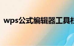 wps公式编辑器工具栏不见了,怎么恢复原样
