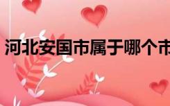 河北安国市属于哪个市（安国市属于哪个市）