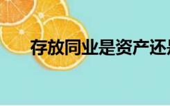 存放同业是资产还是负债（存放同业）