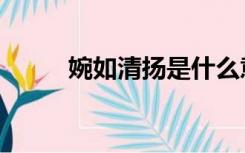 婉如清扬是什么意思（婉如清扬）