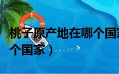 桃子原产地在哪个国家最多（桃子原产地在哪个国家）