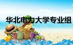 华北电力大学专业组（华北电力大学专业）