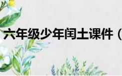 六年级少年闰土课件（六年级少年闰土教案）