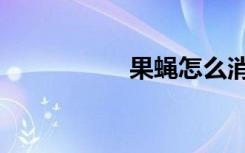 果蝇怎么消灭（果蝇）