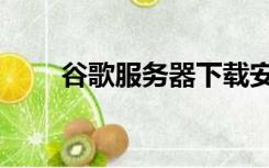 谷歌服务器下载安装（谷歌服务器）