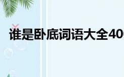 谁是卧底词语大全400个（谁是卧底 词语）