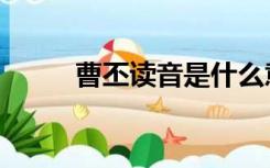 曹丕读音是什么意思（曹丕读音）