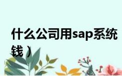 什么公司用sap系统（公司上SAP系统要多少钱）