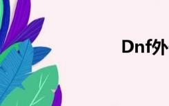Dnf外部网络