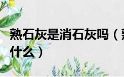 熟石灰是消石灰吗（熟石灰消石灰生石灰都指什么）