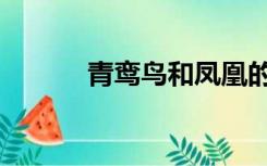 青鸾鸟和凤凰的关系（青鸾鸟）