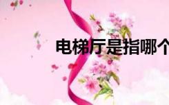 电梯厅是指哪个位置（电梯厅）