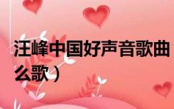 汪峰中国好声音歌曲（中国好声音汪峰唱的什么歌）