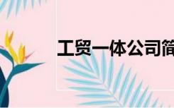 工贸一体公司简介（工贸一体）