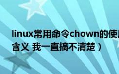 linux常用命令chown的使用（chown  r在linux里是什么含义 我一直搞不清楚）