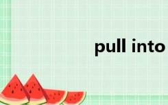 pull into（pull in）