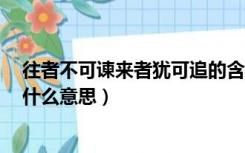 往者不可谏来者犹可追的含义（往者不可谏 来者犹可追 是什么意思）