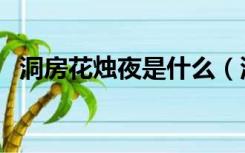 洞房花烛夜是什么（洞房花烛夜打一饮料）
