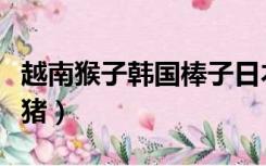 越南猴子韩国棒子日本鬼子美国白皮猪（白皮猪）