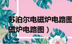 苏泊尔电磁炉电路图大全 原理图（苏泊尔电磁炉电路图）