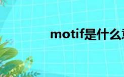 motif是什么意思（motif）