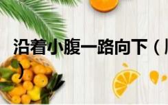 沿着小腹一路向下（顺着雪白柔软的小腹往下）