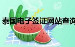 泰国电子签证网站查询（泰国电子签证网站）