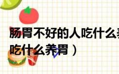 肠胃不好的人吃什么养胃护胃（肠胃不好的人吃什么养胃）