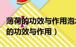 薄荷的功效与作用泡水喝的功效（薄荷泡水喝的功效与作用）