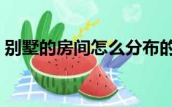 别墅的房间怎么分布的（别墅房间怎么分配）