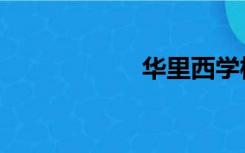 华里西学校（华里）