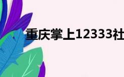 重庆掌上12333社保查询网官网下载