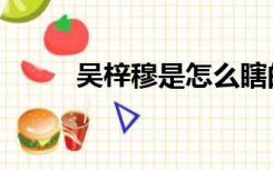 吴梓穆是怎么瞎的（吴梓穆图片）