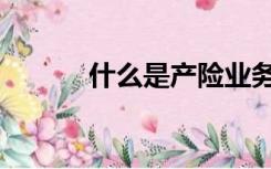 什么是产险业务（什么是产险）