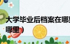 大学毕业后档案在哪里找（大学毕业后档案在哪里）