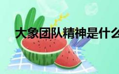 大象团队精神是什么（团队精神是什么）