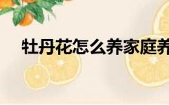 牡丹花怎么养家庭养法（牡丹花怎么养）