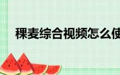 稞麦综合视频怎么使用（稞麦综合视频）