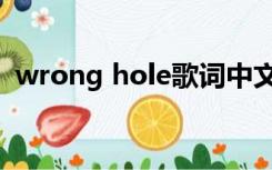 wrong hole歌词中文歌词（wrong hole）