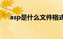 asp是什么文件格式（asp是什么文件）