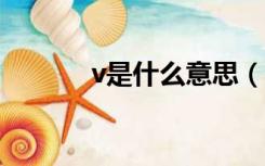 v是什么意思（av是什么意思）