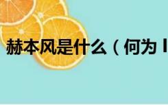 赫本风是什么（何为 ldquo 赫本风 rdquo）