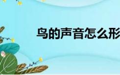 鸟的声音怎么形容?（鸟的声音）