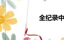 全纪录中文破解版