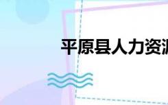 平原县人力资源与社会保障局